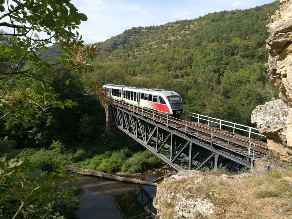shutterstock 1189112758 shutterstock 1189112758